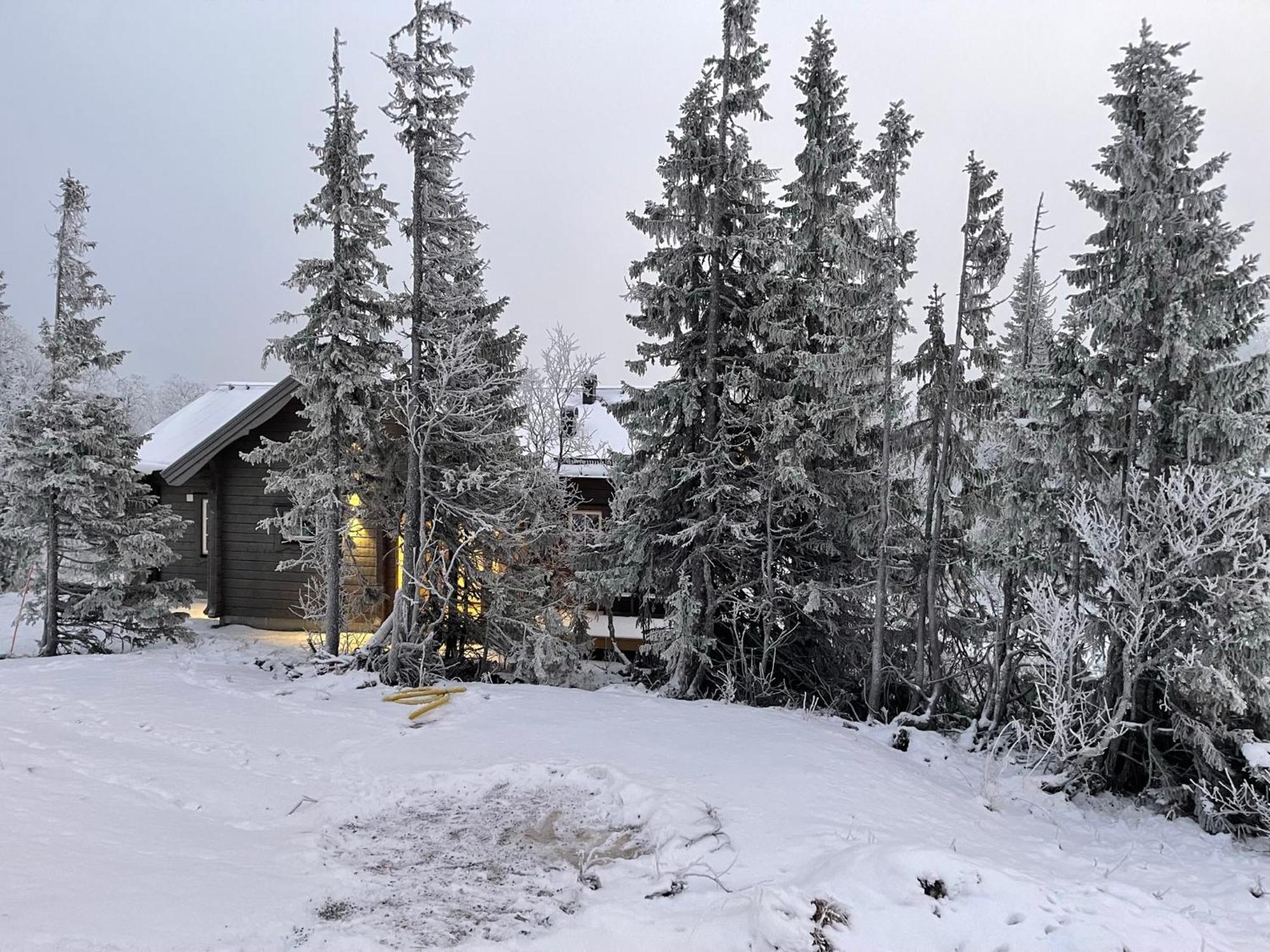 Mountain Holiday Homes - Ottsjoe, Trillevallen -Sweden Åre Δωμάτιο φωτογραφία