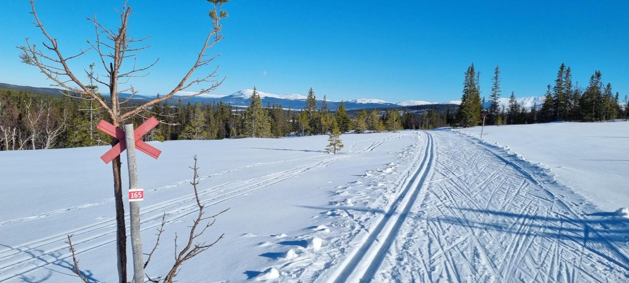 Mountain Holiday Homes - Ottsjoe, Trillevallen -Sweden Åre Εξωτερικό φωτογραφία
