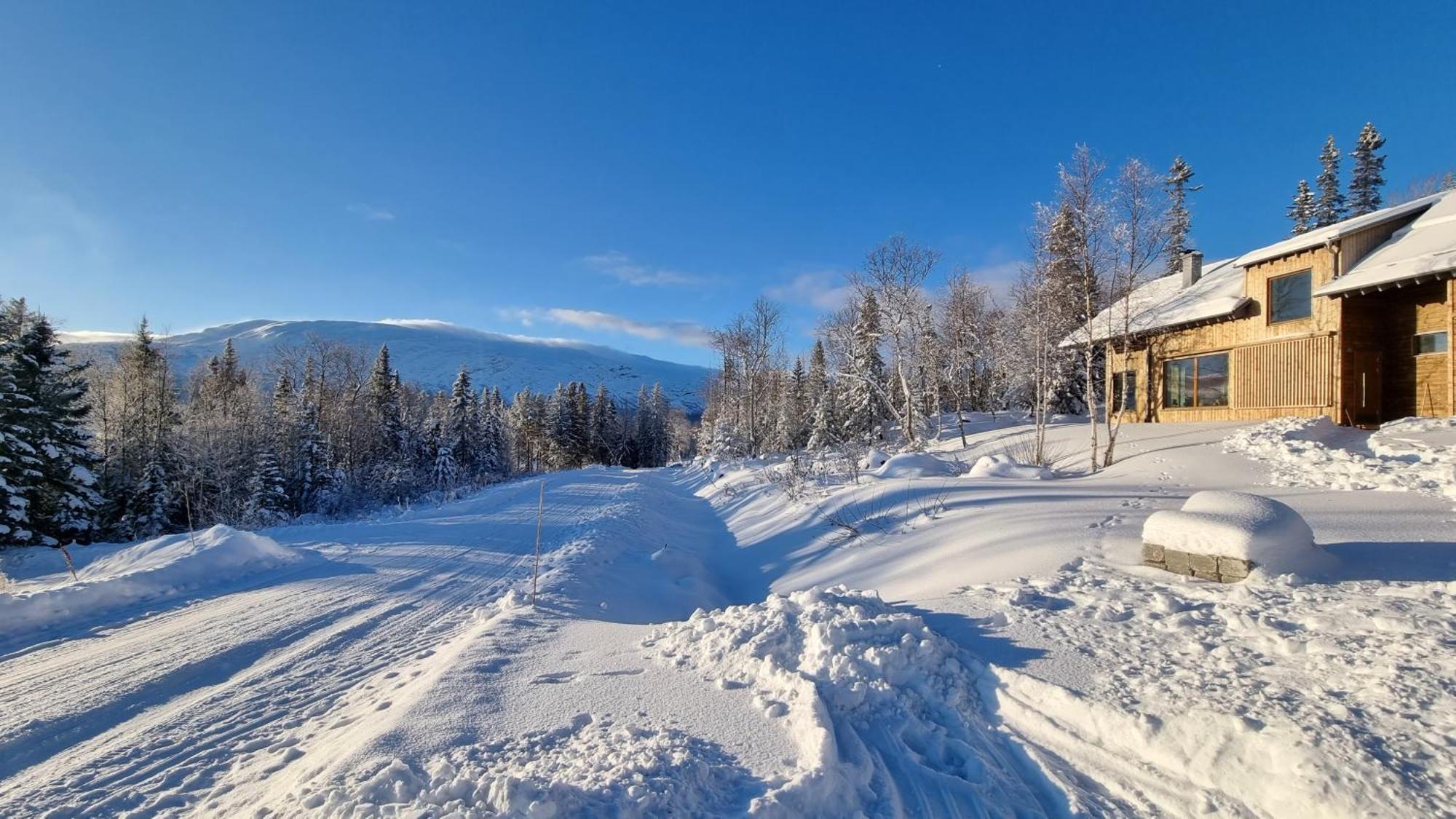 Mountain Holiday Homes - Ottsjoe, Trillevallen -Sweden Åre Δωμάτιο φωτογραφία
